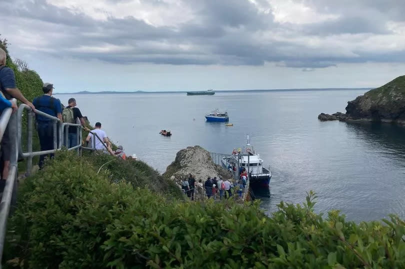 The boat leaves from Martin's Haven and it takes less than 15 minutes to Skomer -Credit:WalesOnline reporter