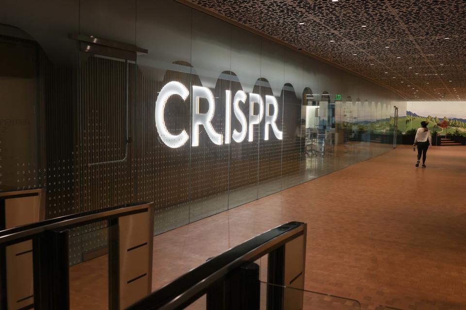 Boston, MA - December 5: The lobby at Crispr Therapeutics. (Photo by Jonathan Wiggs/The Boston Globe via Getty Images)
