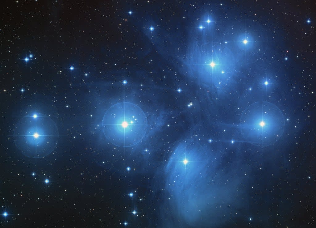 They are called the Seven Sisters – but in reality there are hundreds of stars in the Pleiades (Nasa)