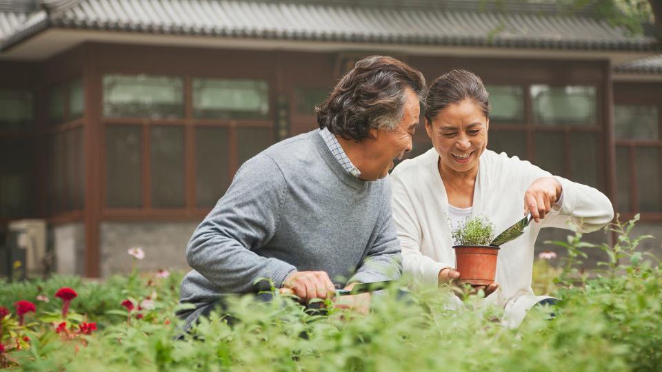 Smiling senior couple in garden.