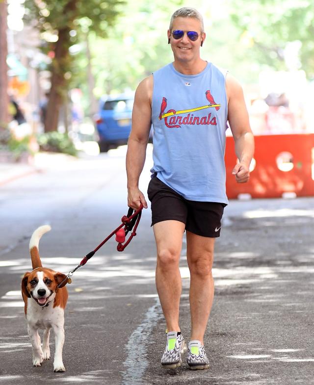 Jenny McCarthy carries pet pooch in a Louis Vuitton bag in New York