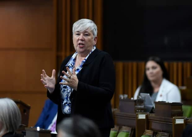 Minister of Fisheries, Oceans and the Canadian Coast Guard Bernadette Jordan rises during Question Period in the House of Commons in September, 2020. The federal government is being sued by Inuit in Nunavut over Jordan's decision to transfer fishing licenses off the coasts of Nunavut to a Mi'kmaq coalition which purchased Clearwater Foods earlier this year. (Justin Tang/The Canadian Press - image credit)