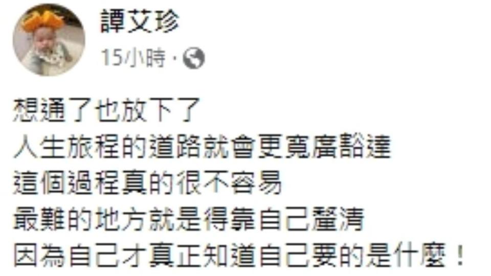 譚艾珍60字洩心聲。（圖／翻攝自譚艾珍臉書）