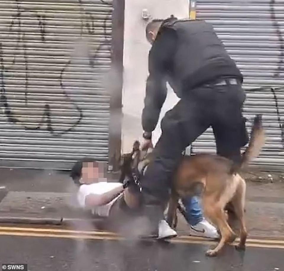 警方認為警犬執法適宜。（翻自《每日郵報》）