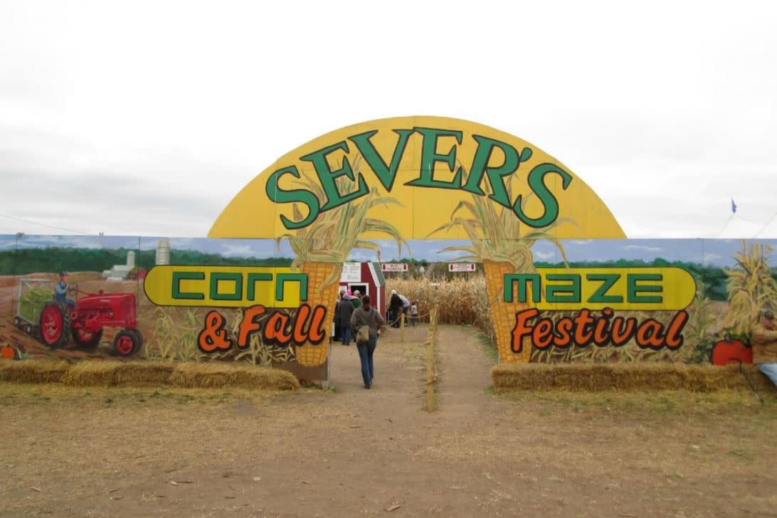 Sever's Fall Festival