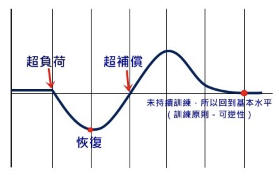 訓練低潮千萬別灰心 超補償是你進步的關鍵！