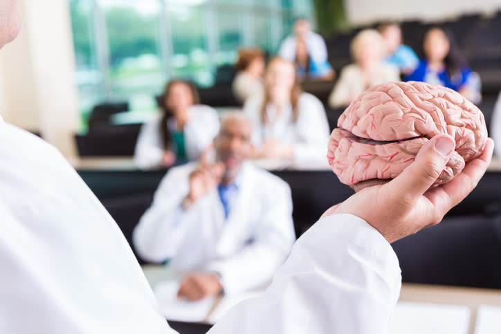 Parecen iguales, pero los cerebros de ambos tendrían algunas diferencias. – Foto: asiseeit/Getty Images