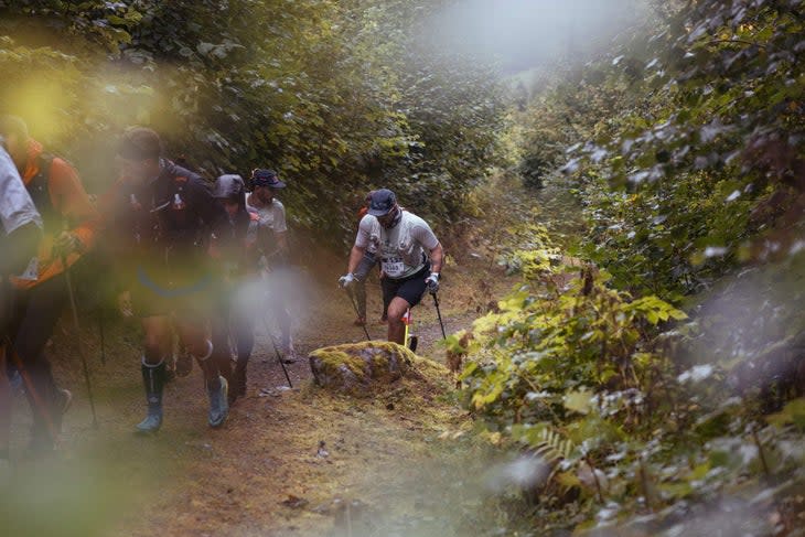 A line of runners hike up a steep trail in the forest.
