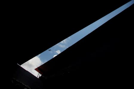 A vulture flies over a rooftop of a hotel during the Caribbean qualifying round for the Tango World Championship in Buenos Aires, in Havana