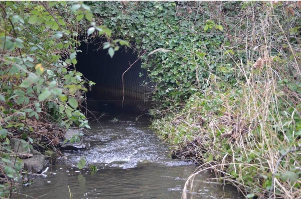 A culvert where Baker Creek flows under Interstate 5 at the northbound off-ramp to Meridian Street is one of the culverts that are scheduled for replacement.