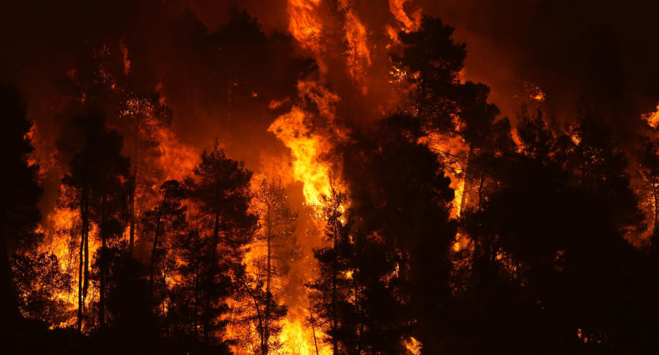 A photo of flames approaching at Gouves village on the island of Evia, about 185 kilometres north of Athens, Greece, Sunday, Aug. 8, 2021. Source: AAP