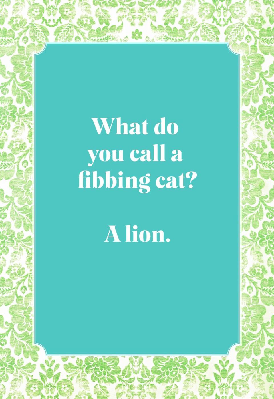 What do you call a fibbing cat?