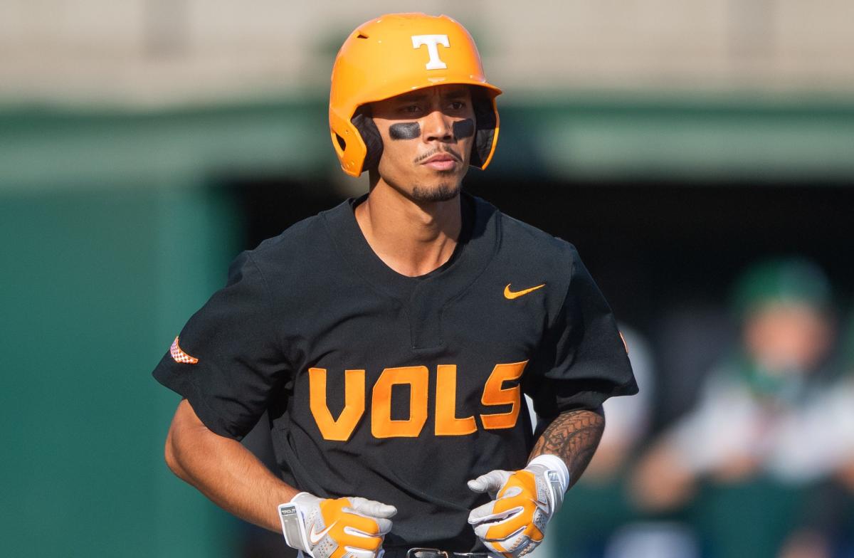 PHOTOS: Tennessee baseball wins NCAA Tournament Clemson Regional