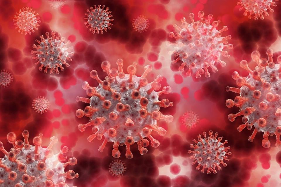 第6波COVID-19疫情擴大。圖為病毒示意圖。（翻攝自pixabay圖庫）