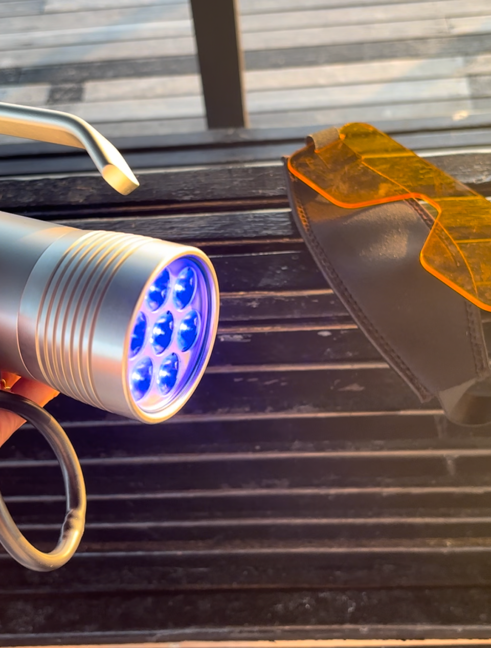 The orange filter and blue light flashlight help anenomes and coral light up in neon colors.