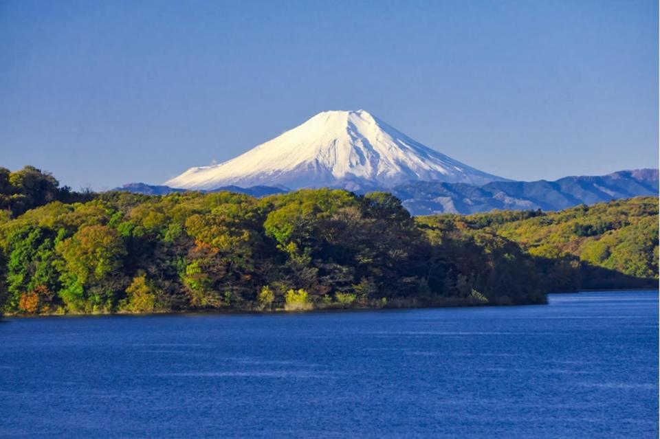 狹山湖周遭自然景觀迷人，一年四季都有旅客造訪。（埼玉縣觀光局提供）