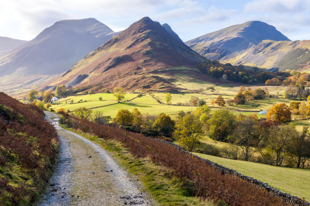 Newlands valley with surrounding mountains on a beautifully lit Autumn day. Lake District, Cumbria. UK, Europe.
