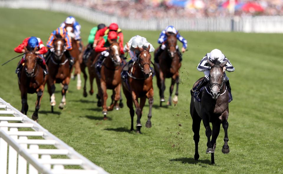 Threading was six lengths behind Alpha Centauri at Royal Ascot