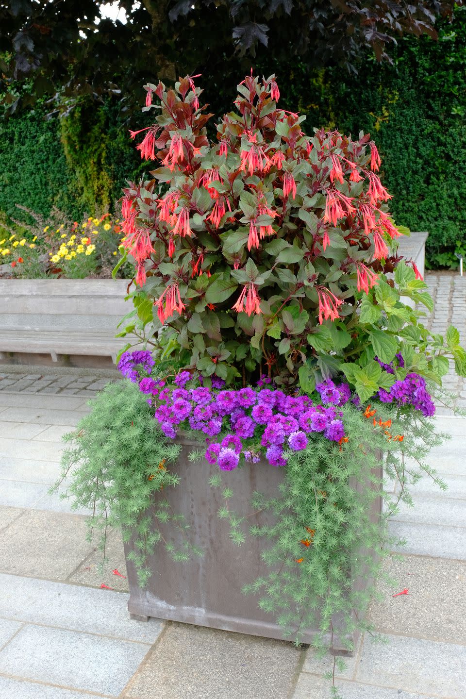 container gardening ideas