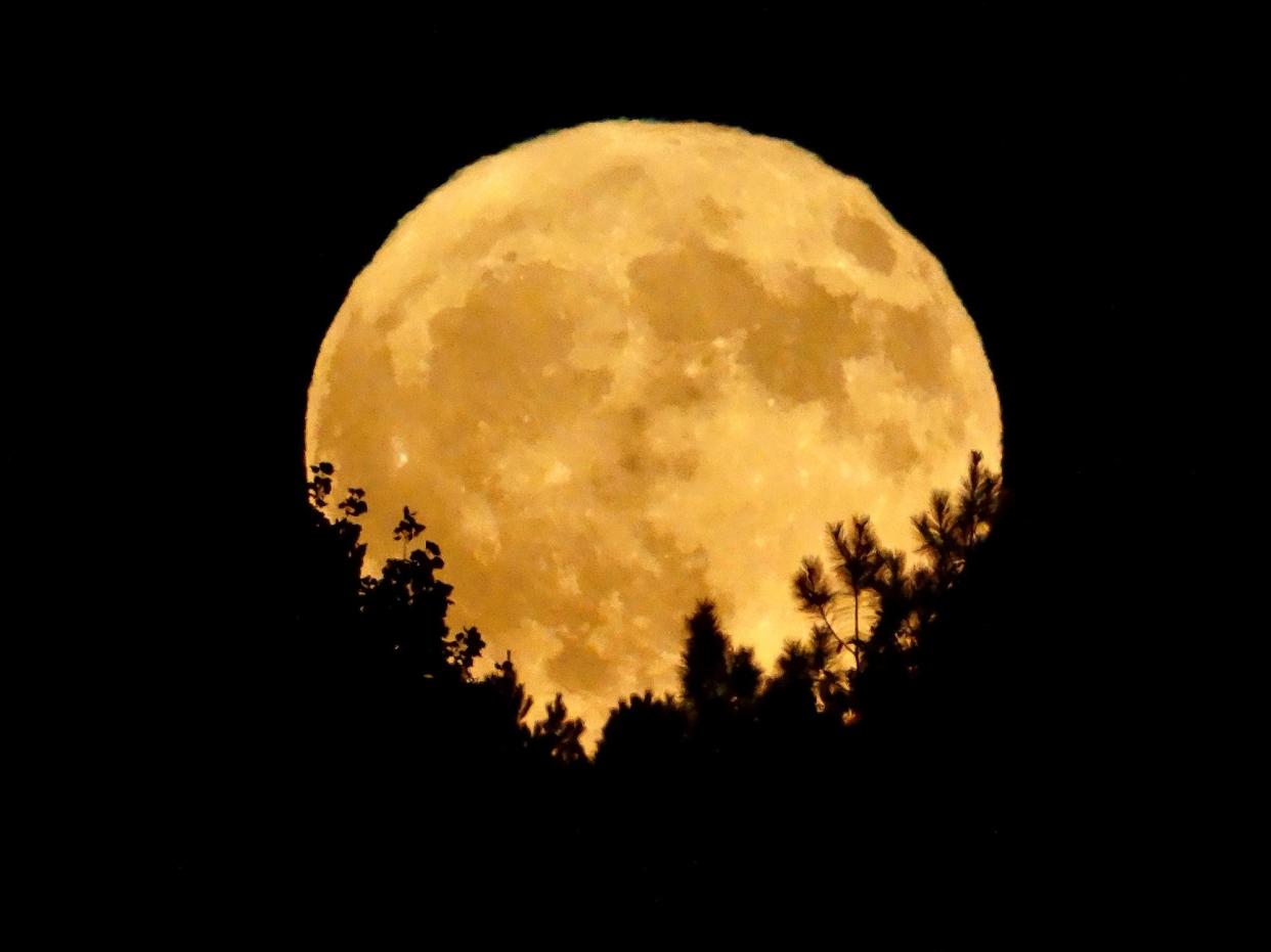 The full moon on 30 November 2020 is known as the Beaver Moon (Getty Images/iStockphoto)