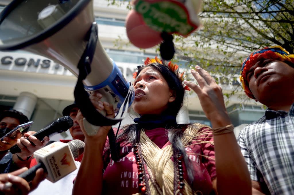 ‘Our forests are burning, oil continues to spill, the miners continue to invade our territory and colonists cut down our forests to feed societies abroad’  (AFP via Getty Images)