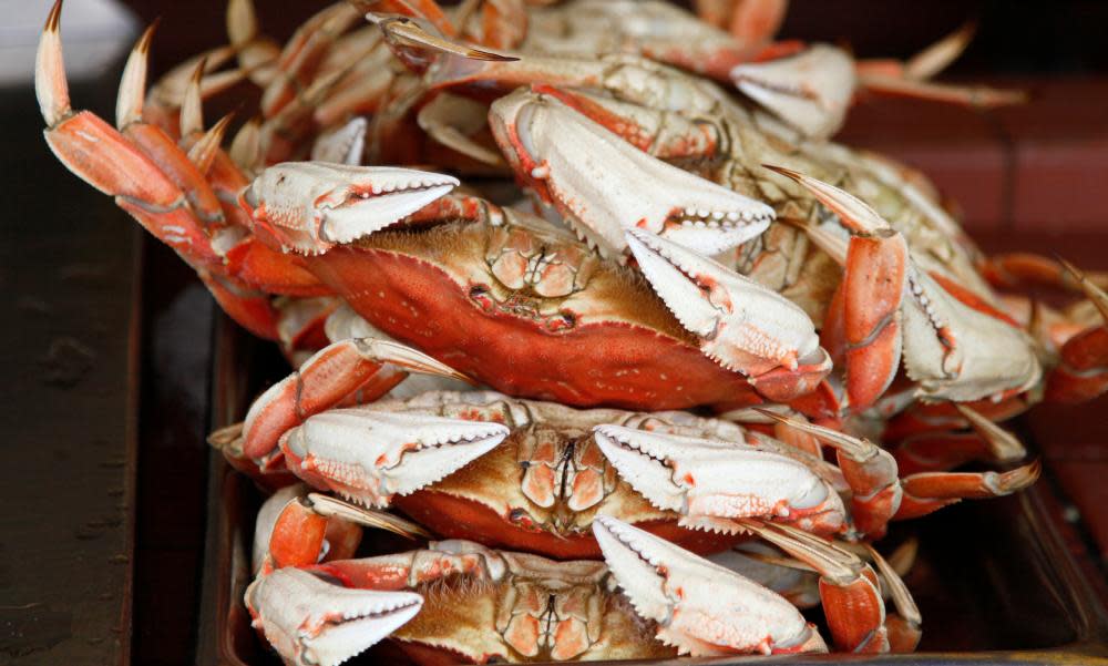 Dungeness crabs are shown for sale at Fisherman’s Wharf in San Francisco.