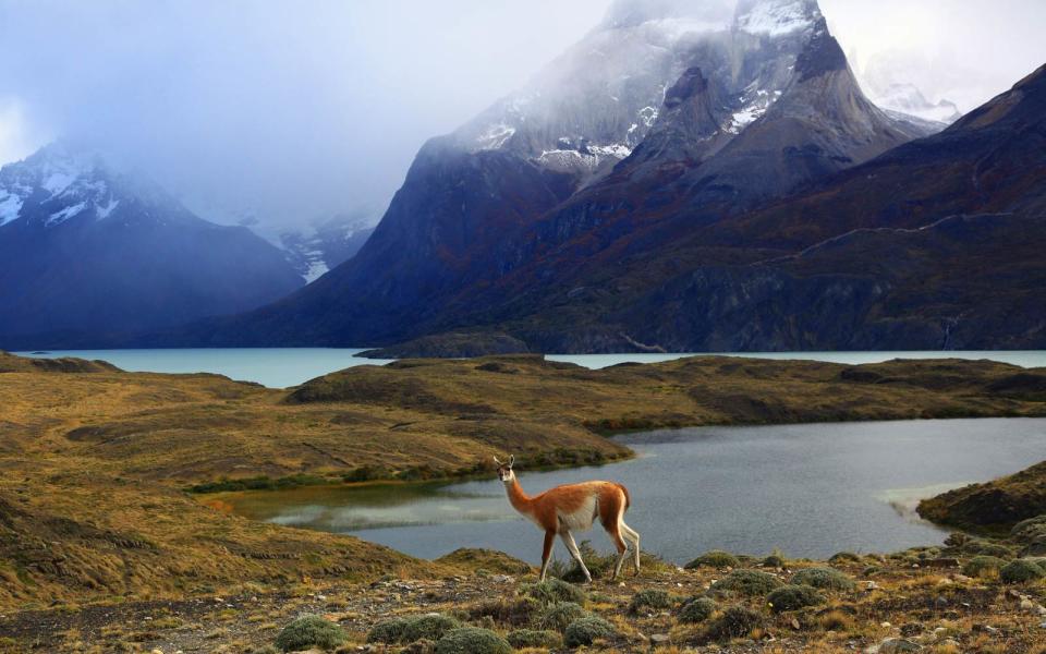 <p>Since the first time I saw photos of Torres de Paine National Park, I have wanted to go to <a rel="nofollow noopener" href="http://www.travelandleisure.com/attractions/parks-gardens/patagonia-video" target="_blank" data-ylk="slk:Patagonia;elm:context_link;itc:0;sec:content-canvas" class="link ">Patagonia</a>. I don't know if it's because of the operatically jagged peaks and luminous lakes that seem to change color with the sky, or the promise of fresh air and immersion in nature, but I imagine it'll feel like I'm very far away and surrounded by some of the best scenery the Earth has to offer. <em>– Laura Teusink, managing editor</em></p>