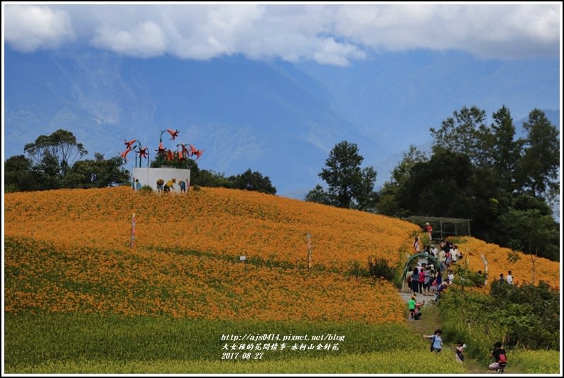 赤柯山金針花季-2017-08-60.jpg