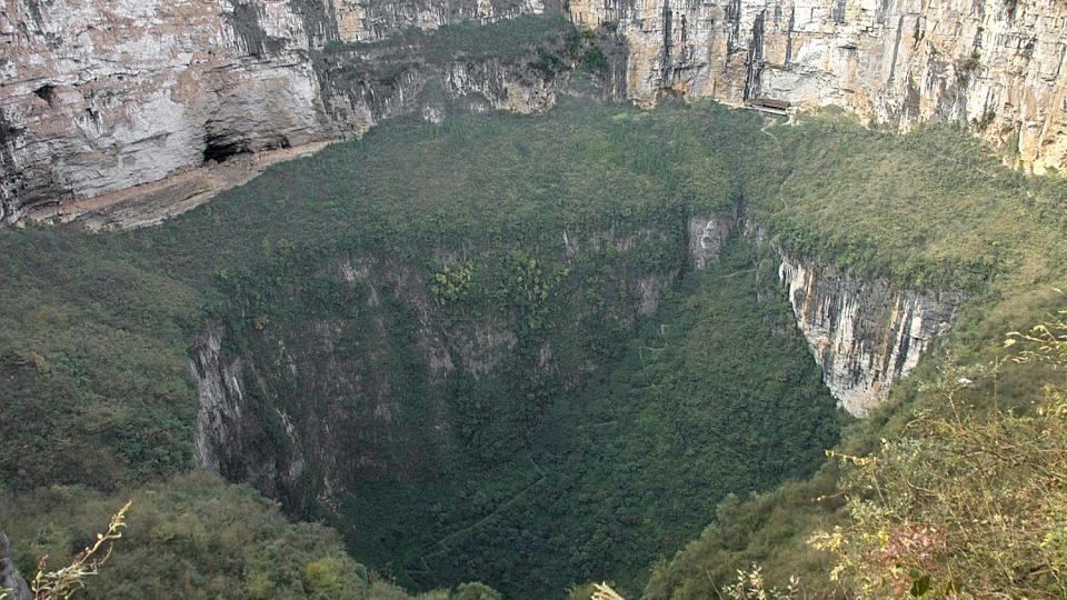 A very large sinkhole covered in trees with cliffs at the back