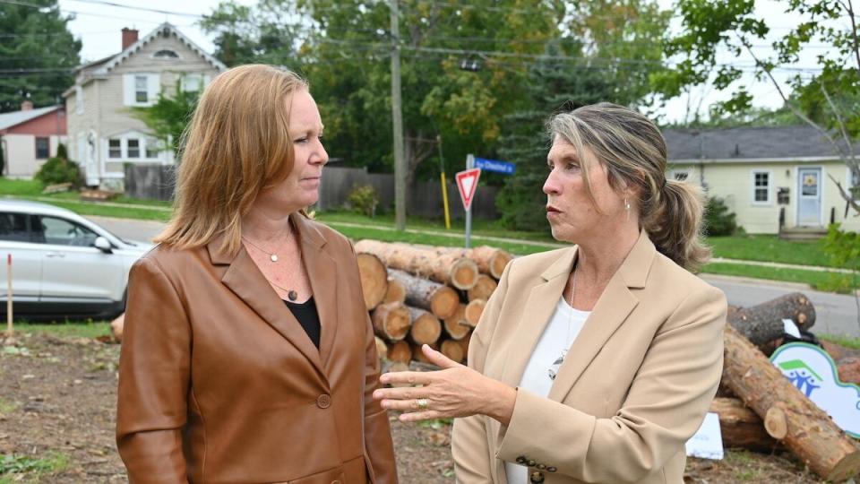 Social Development Minister Jill Green, left, speaking with Fredericton Mayor Kate Rogers during an announcement last week.