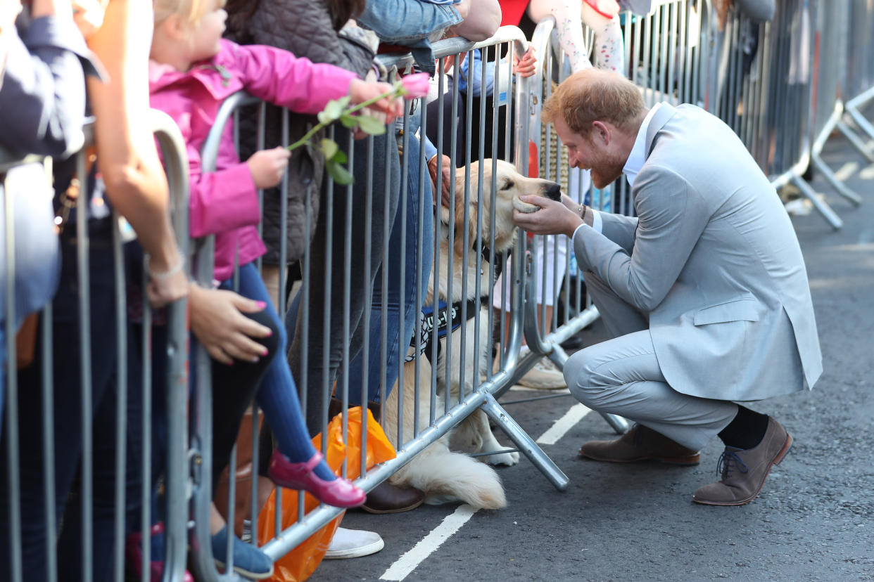 During a walkabout in Brighton, Prince Harry petted some of the locals’ dogs (PA)