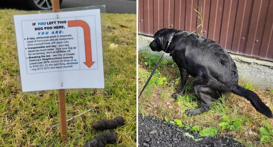 The angry sign was put up right next to the dog poo left on the lawn. Right is a file picture of a dog doing its business. Source: Reddit
