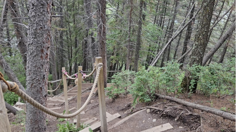 Connor O'Donovan/TWN: Douglas Fir Trail, Alberta, Calgary, hiking trail