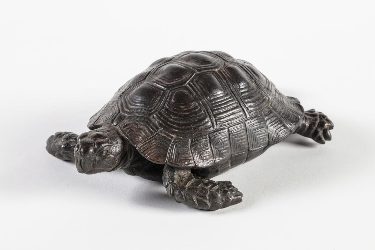 One of the four returned tortoises at Kingston Lacy, Dorset (James Dobson/National Trust/PA).