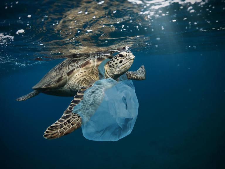 A landmark deal designed to reduce soaring levels of plastic waste polluting the world’s oceans has been agreed by the world’s most industrialised nations. Environment and energy ministers from the G20 countries agreed to adopt a voluntary framework for reducing plastic litter, which includes strategies designed to assist developing countries.The delegates from the group of 20 countries, which make up about 85 per cent of global GDP, met this weekend in Karuizawa, northwest of Tokyo, ahead of the G20 summit, which will take place in Osaka, western Japan, later this month. The issue of plastic waste in our seas has gained prominence in recent years as pollution levels have soared and increasing evidence of the damage being done to wildlife is recorded.Beaches strewn with tonnes of plastic waste and rapidly rising numbers of dead animals found with stomachs full of plastic have sparked outrage across the world.As a result many countries have moved to ban plastic bags outright, but levels of waste still going into the sea are enormous. According to estimates published by the UK government, every year more than 150 million tonnes of plastic waste pollute the world’s oceans.Around a million birds and more than 100,000 sea mammals die every year from eating and getting tangled in plastic waste.The growth in single-use consumer plastics has fuelled the surge in plastic pollution. It is estimated there are now 5.25 trillion pieces of ocean plastic debris, and a recent report estimates the quantity of plastic in the sea will treble by 2025.Around 40 per cent of plastics are thought to enter the waste stream in the same year they’re produced.Under the new framework drawn up in Japan, G20 members will promote a “comprehensive life-cycle approach” to prevent and reduce plastic litter discharge to the oceans through various measures and international cooperation.They will also have to report their progress in tackling the problem, and “share best practices, promote innovation and boost scientific monitoring and analytical methodologies”. “I’m glad that we, including emerging countries and developing countries, were able to form a broad international framework,” Yoshiaki Harada, Japan’s environment minister, told a news conference.Hiroaki Odachi of Greenpeace Japan described the deal as “the first step towards resolving the issue”, AFP reports.“But given the critical situation of ocean pollution with plastics, it is urgently necessary to set up legally binding action plans with clear timelines and goals,” he added.Japanese industry minister Hiroshige Seko, who co-hosted the discussions with Mr Harada, said Japan would aim to introduce a charge for disposable plastic shopping bags by as early as April to help reduce waste.Additional reporting by Reuters