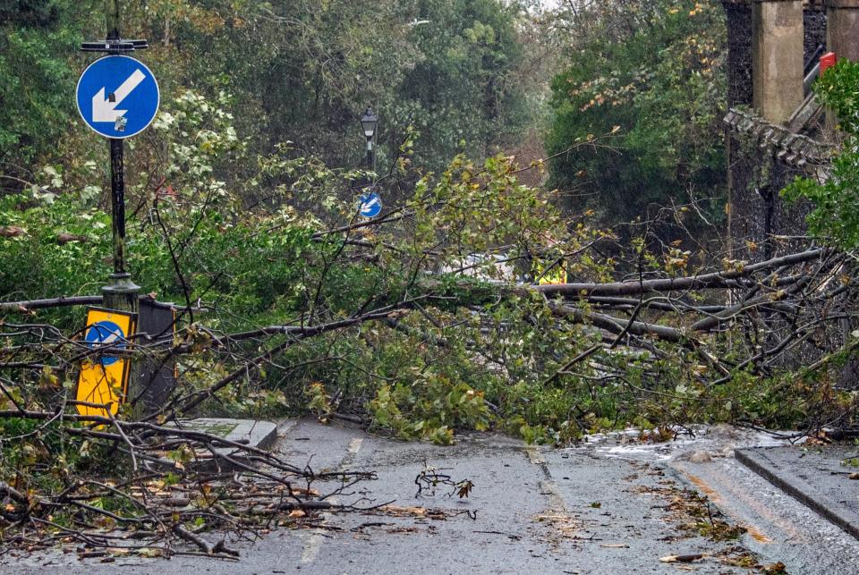 Fallen trees block the road during Storm Ciarán in Kent, England (EPA)
