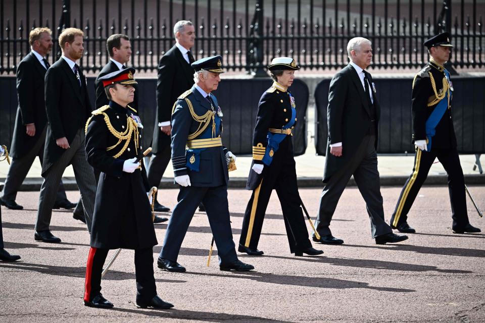 Britain's Prince Harry, Duke of Sussex (2L), walks behind Britain's King Charles III (6L), Britain's Princess Anne (C), Princess Royal, Britain's Prince Andrew, Duke of York (2R) and Britain's Prince Edward, Earl of Wessex walk behind the coffin of Queen Elizabeth II.