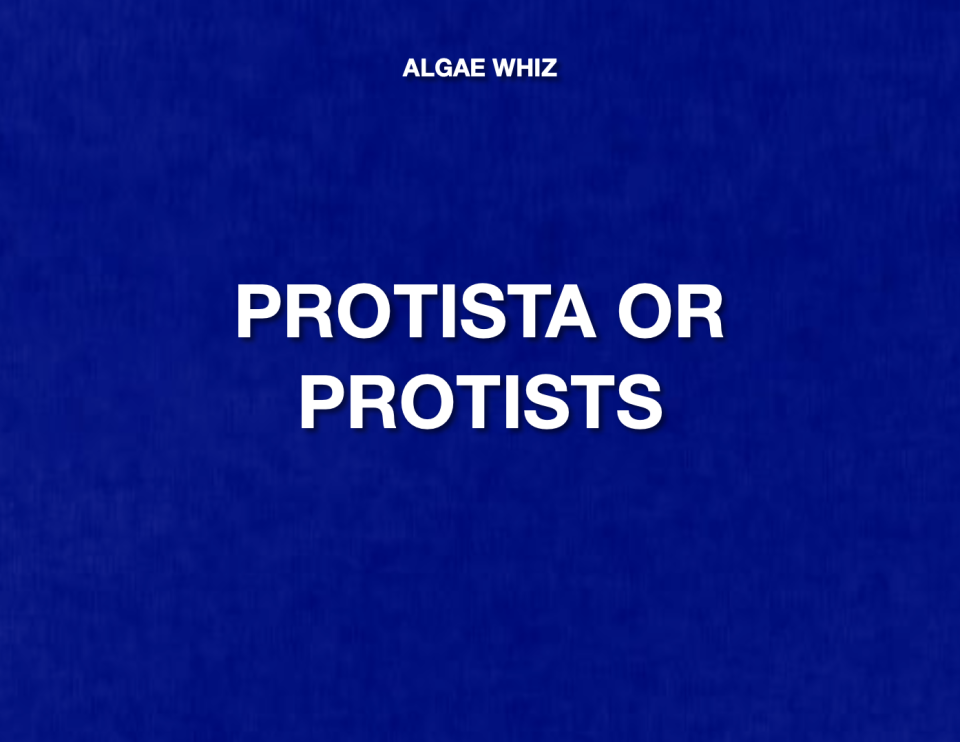 ANSWER: WHAT IS PROTISTA OR PROTISTS?