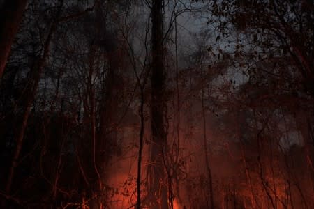 Wildfires are seen in Santa Monica near Concepcion