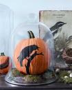 <p>Paint a black bird or feather onto your orange pumpkin and then set it in a bed of moss inside a glass cloche.<br></p><p><a class="link " href="https://www.amazon.com/Moonlear-Cloche-Display-Wooden-coffee/dp/B07CWNB672/ref=sr_1_9?tag=syn-yahoo-20&ascsubtag=%5Bartid%7C10055.g.33437890%5Bsrc%7Cyahoo-us" rel="nofollow noopener" target="_blank" data-ylk="slk:SHOP CLOCHES;elm:context_link;itc:0;sec:content-canvas">SHOP CLOCHES</a></p>