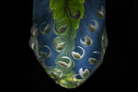 In this image released by World Press Photo, Thursday April 15, 2021, by Jaime Culebras titled New Life, which won third prize in the Nature Singles category, shows The eggs of a Wiley's glass frog, Nymphargus wileyi, hang on the tip of a leaf in Tropical Andean cloud forest, near the Yanayacu Biological Station, Napo, Ecuador, on July 25, 2020. (Jaime Culebras, World Press Photo via AP)