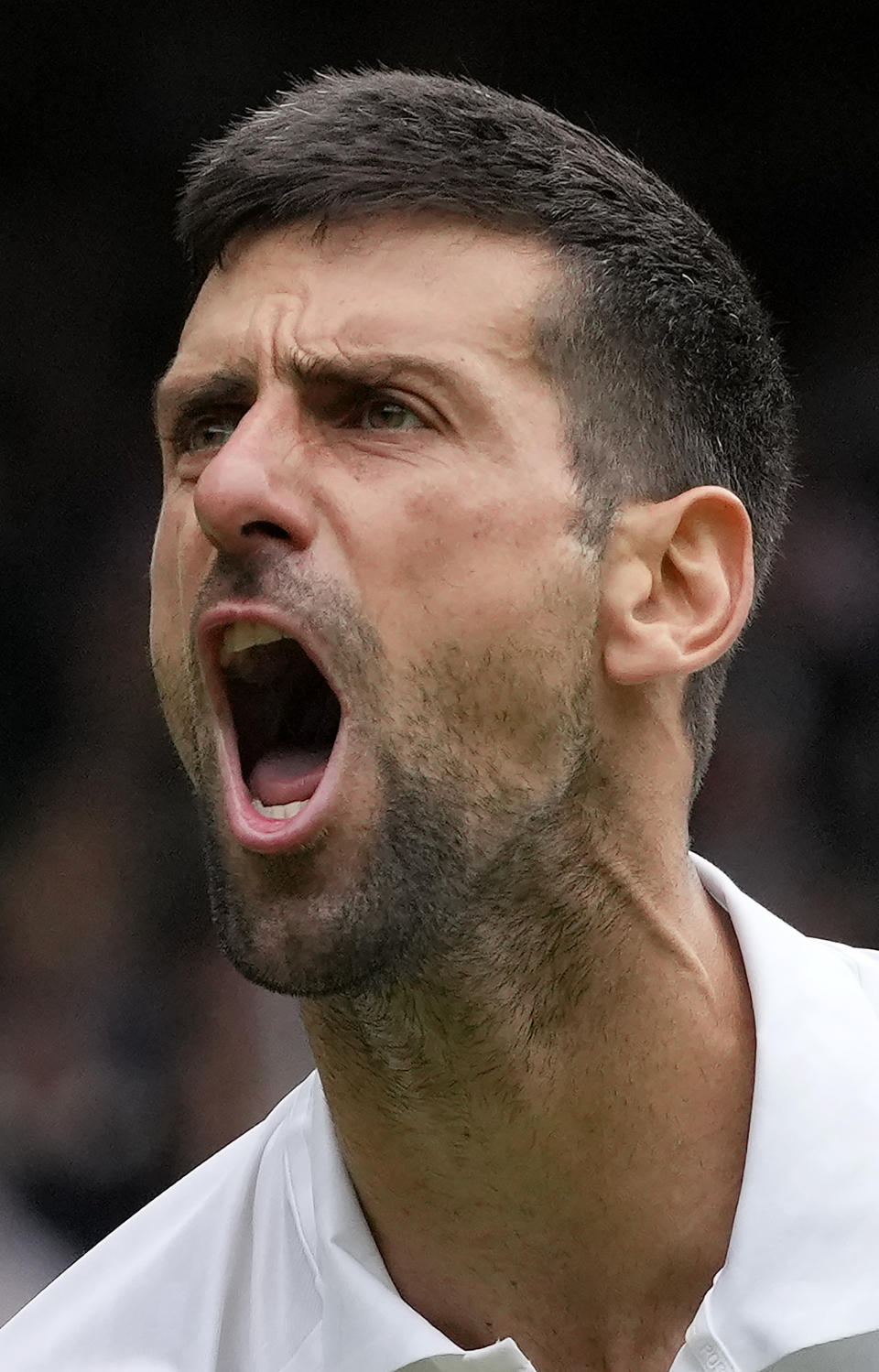 Serbia's Novak Djokovic celebrates winning a point against Russia's Andrey Rublev in a men's singles match on day nine of the Wimbledon tennis championships in London, Tuesday, July 11, 2023. (AP Photo/Kirsty Wigglesworth)
