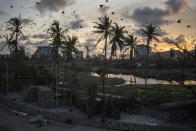 Birds fly over debris in the aftermath of Hurricane Otis in Acapulco, Mexico, Saturday, Oct. 28, 2023. (AP Photo/Felix Marquez)