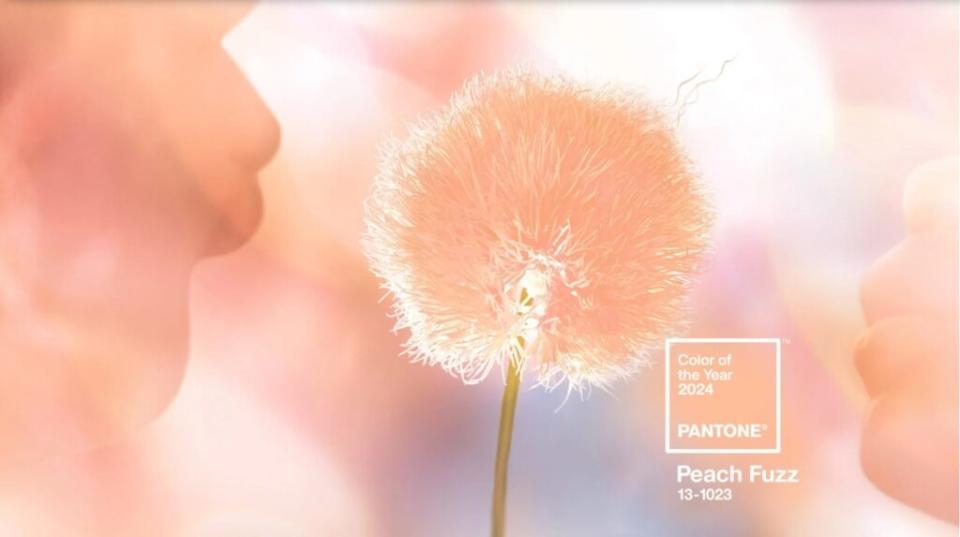 PANTONE公開2024代表色「PEACH FUZZ」。（圖片來源：PANTONE）