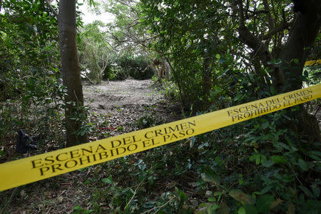 A police cordon marks the perimeter of the site of unmarked graves where a forensic team and judicial authorities are working in after human skulls were found, in Alvarado, in Veracruz state, Mexico, March 19, 2017. REUTERS/Yahir Ceballos