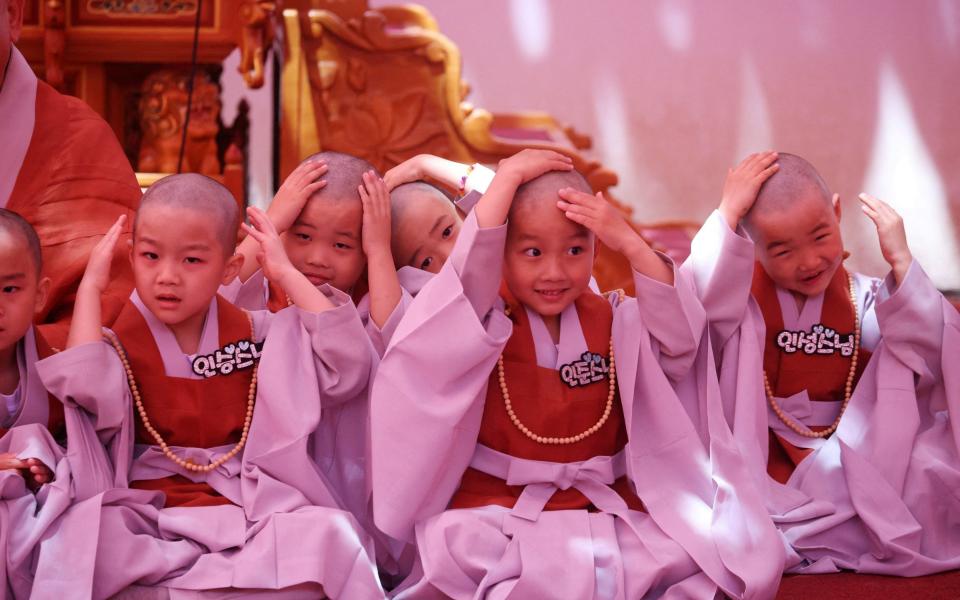 Los monjes novicios reaccionan después de afeitarse la cabeza - Los monjes novicios reaccionan después de afeitarse la cabeza