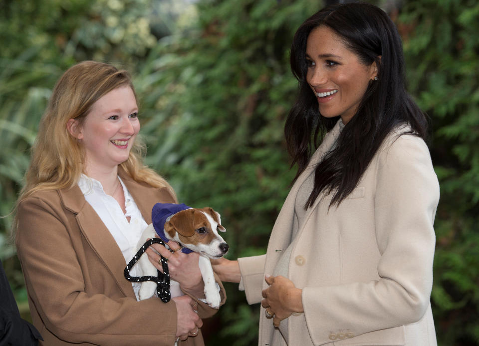 The Duchess&nbsp;of Sussex hanging around with the cute pups at Mayhew in London. (Photo: Reuters)