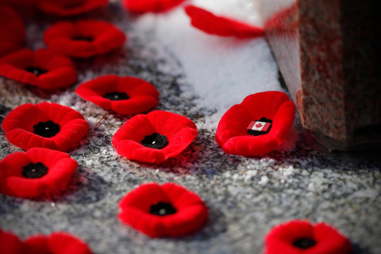 Poppies are placed on a cenotaph during a Remembrance Day service. (John Woods/Canadian Press - image credit)