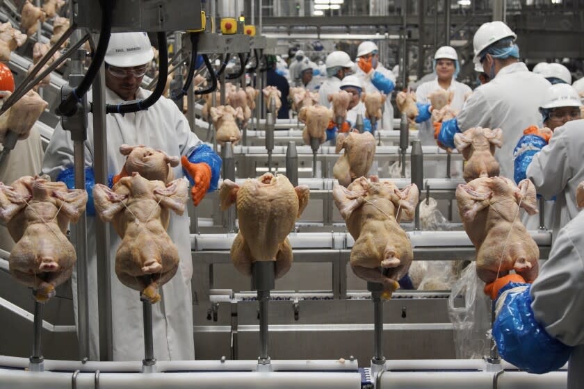 Foto tomada en una planta procesadora de pollo en Fremont, Nebraska el 12 de diciembre del 2019. (Foto AP/Nati Harnik)