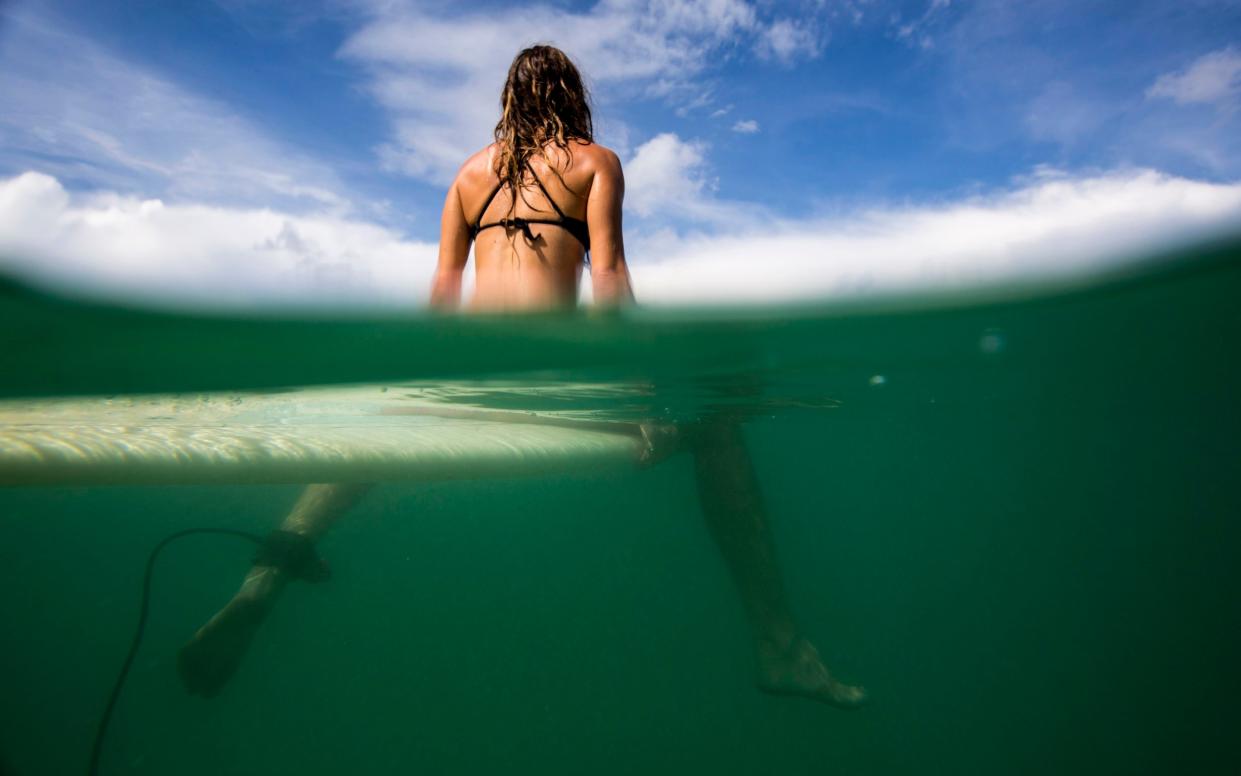 Surfers may be mistaken for seals